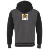 Heavyweight Varsity Full-Zip Hooded Sweatshirt Thumbnail