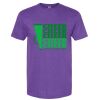 Softstyle® CVC T-Shirt Thumbnail
